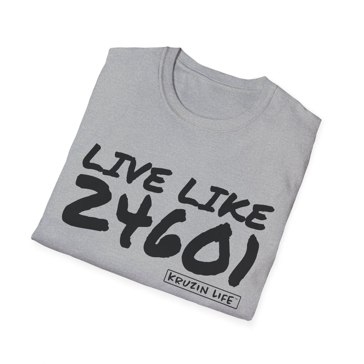 24601 Les Mis T-Shirt, Kruzin Life, Softstyle Heather Shirt