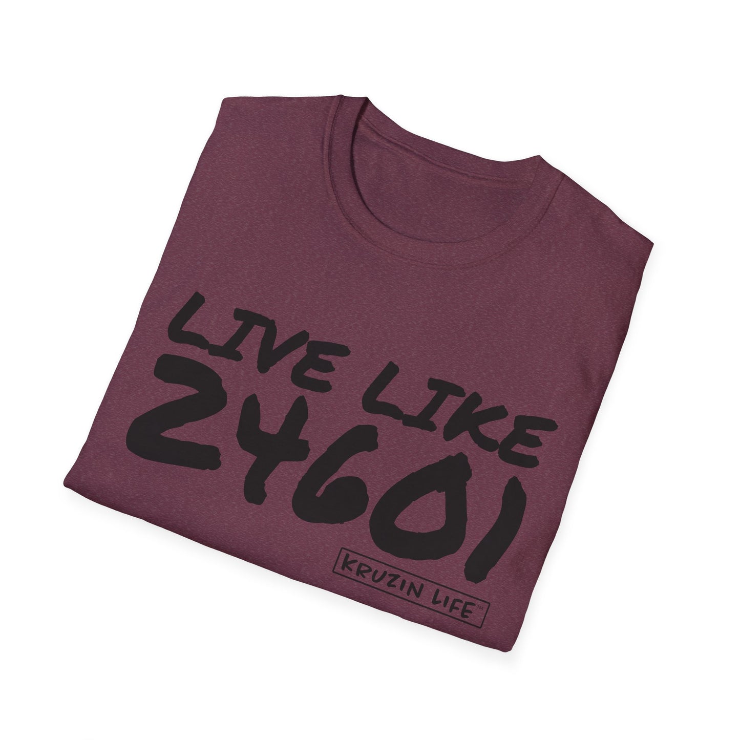 24601 Les Mis T-Shirt, Kruzin Life, Softstyle Heather Shirt